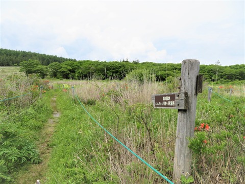 ���裴���Ϥظ�������������ϩ