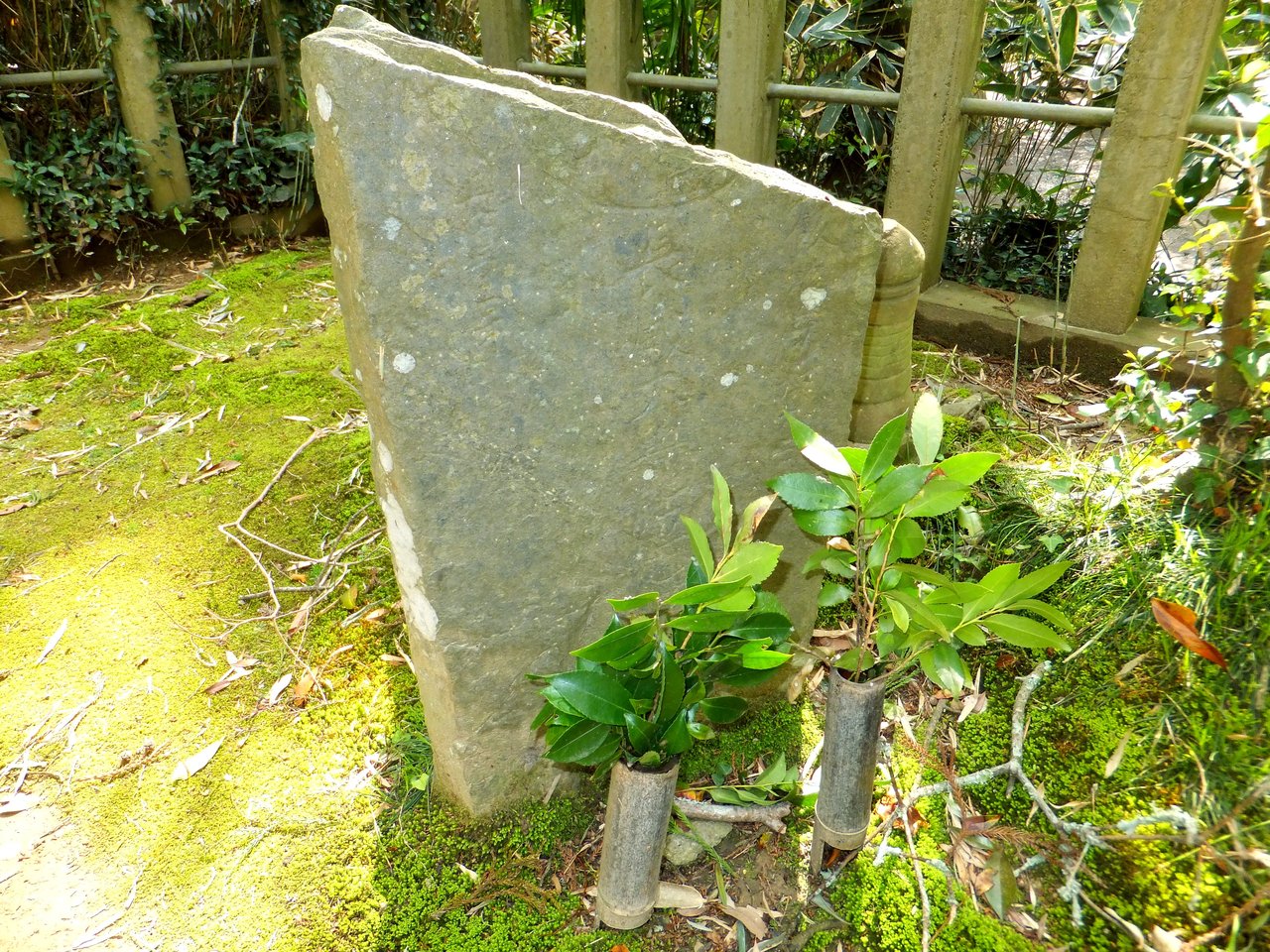 パワースポット 香取神宮 奥宮には一閃の光芒が差す 彦左の正眼 パワースポット 香取神宮 奥宮には一閃の光芒が差す 彦左の正眼