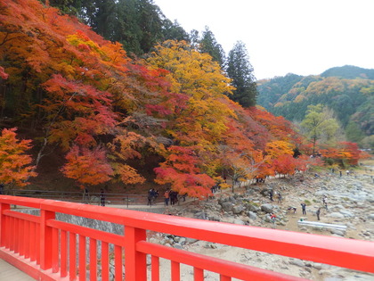 �Է��������ή��