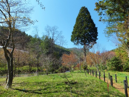 ËÜÅÂ΢¤Ë¹¤¬¤ë½ÐÁá¸ø±à