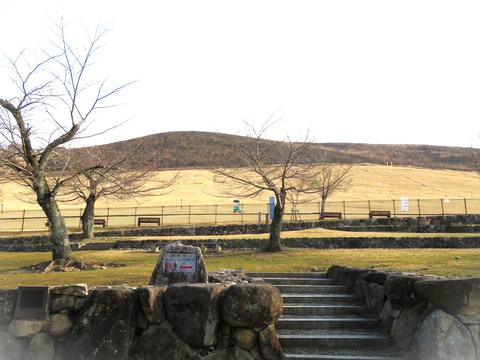 £²£³åºÎï¤Ë¾Æ¤±¤¿¼ãÁð»³