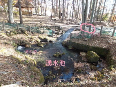 ͯ���Ӥ���ʬ���Ƥ�ή���