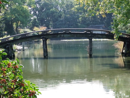 ���㶶����󤯤��������˾��