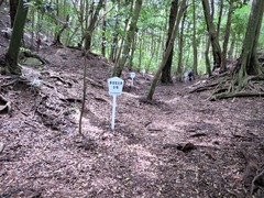 ¿´ìµÜ¸Åʯ·²