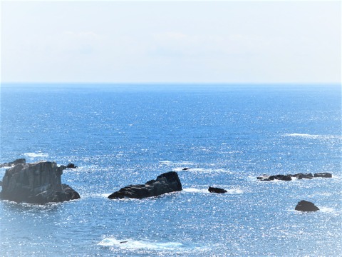 ²Æ¤ÎÍÛ¸÷¤Ë¤¤é¤á¤¯ÂÀÊ¿ÍÎ