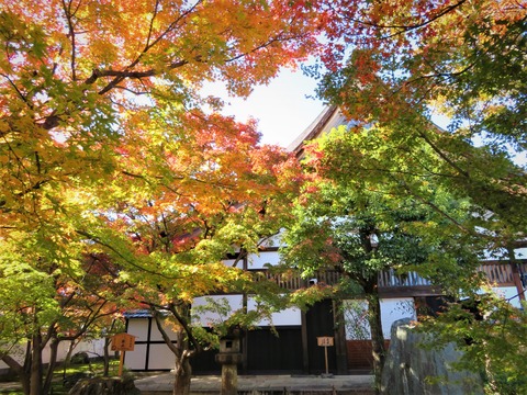 ��Σ�ȹ��ա����������߱�