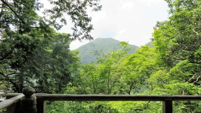 37������Ʋ��ϭ���鸫�뻳