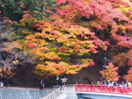 ͭ̾�ʸ޿�����