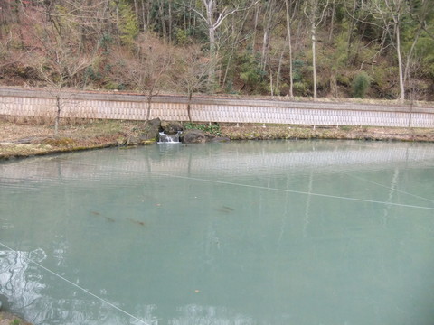 �����Ȳ��ߤ�������