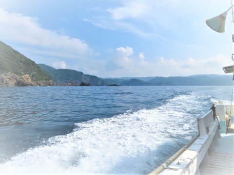 ¸åÊý¤Ë·Ê¿§¤¬¤È¤Ö