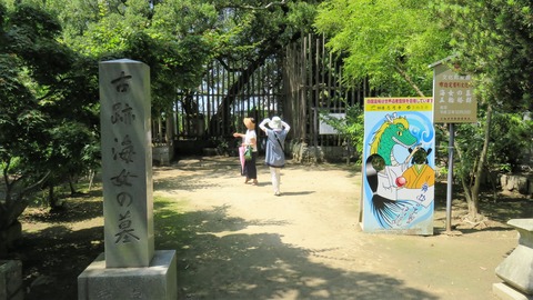 £±£µ¡¦¸ÅÀ׳¤½÷¤ÎÊè¡¡»ÖÅÙ»û