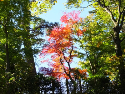 3�������᤯�ι���