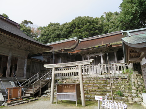 ����¿�������(�����)���ݼ��򻳿�������(Ļ���)