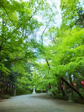 ����˨���뻲ƻ