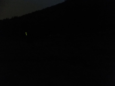 �ۥ���αȸ�