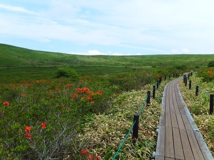 トレッキングコースを歩む