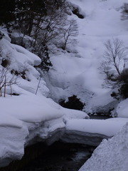 24��������