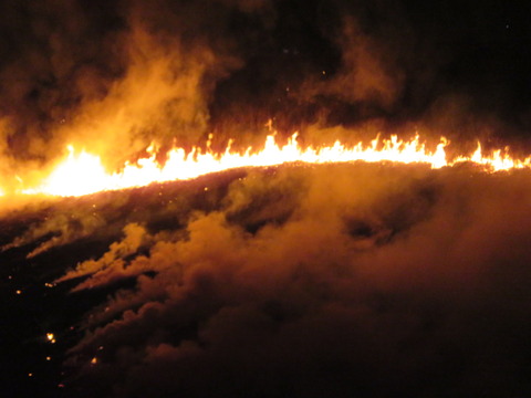 £²£±Íϴ䤬¿á¤½Ð¤Æ¤¤¤ë¤è¤¦¤Ê