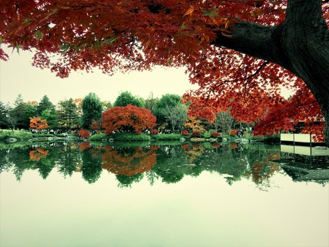 20�����µ�ǰ���ࡡ��������ο��Ť�