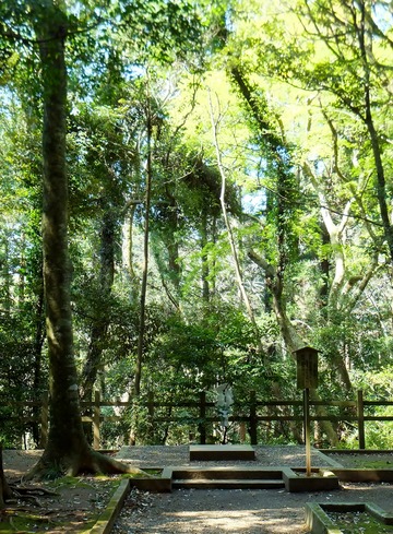 �ݼҡ���ͼҡ����������ҽ�