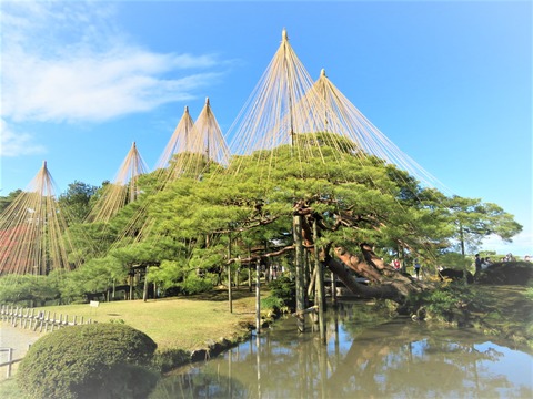 ����ϻ�����ʪ���ߤ�