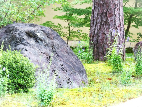 »ç¼°ÉôÅ¡ÂðÀפ˷ú¤ÄµþÅÔ¡¦éû³»û¤Î¸»»á¤ÎÄí