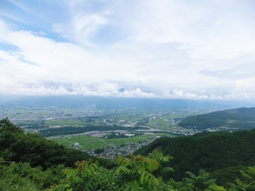 �����Ĺ�������