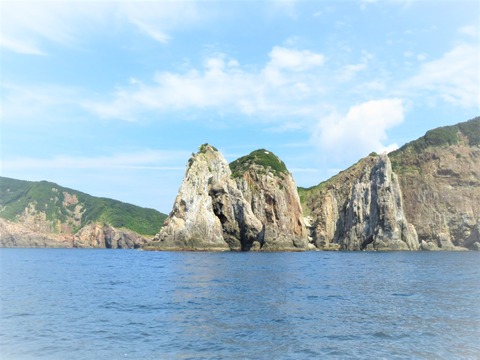 �Ѳ���Ÿ˾��ȴѲ���