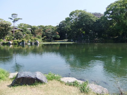 �̳�š����