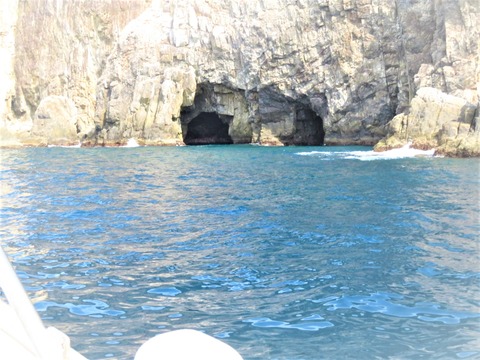 ³¤Æ¶¤Ë¶á¤Å¤¯