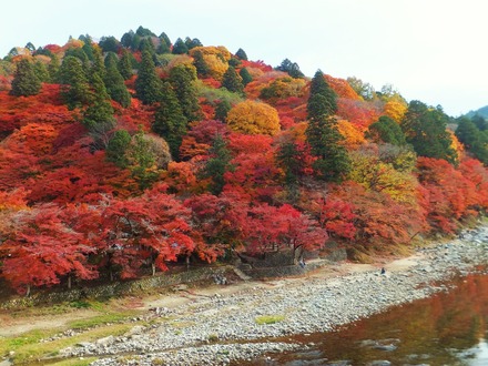 ����ñ�����䤫��Ż��������