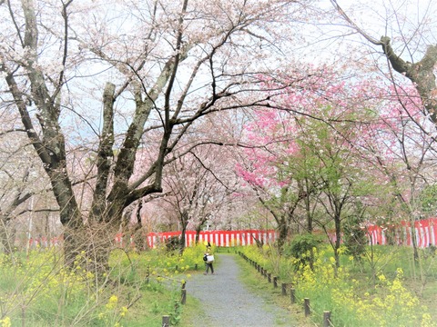 ��ͭ������