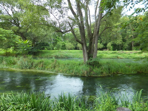 Â粦¤ï¤µ¤Ó±à¤òή¤ì¤ëËü¿åÀî¤ÈèúÀî