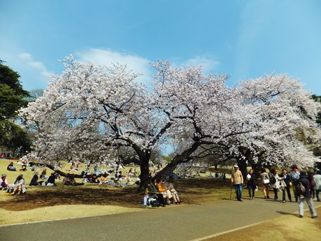 人出もすごいです