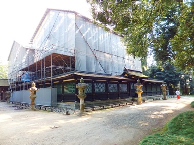 ���½�����