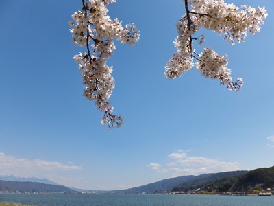 ���̡�ο�ˬ��