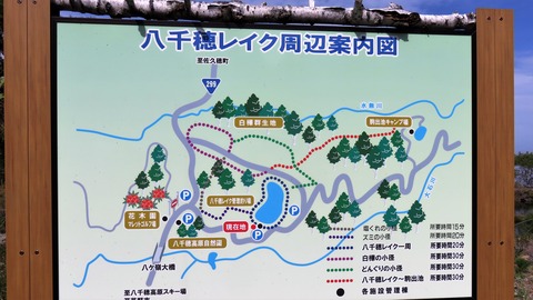 10¡¦È¬ÀéÊæ¥ì¥¤¥¯¼þÊÕ°ÆÆâ¿Þ