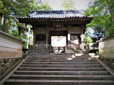 ���β��礫��ζ߬����Ʋ�򸫤�