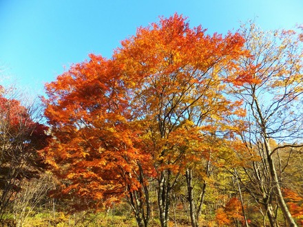 �����ˤޤ��٤�Ф��β��դ�