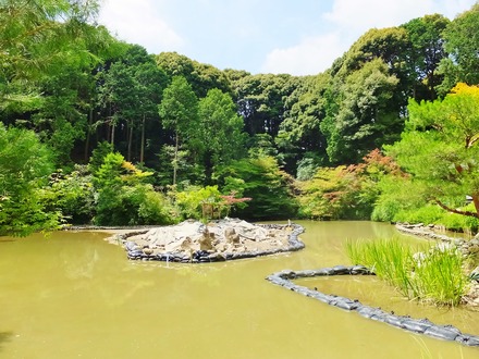 4�����Ӥ�Ĵ����