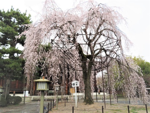 ����������������