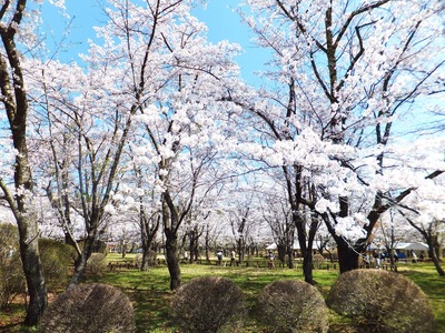 �����κ�