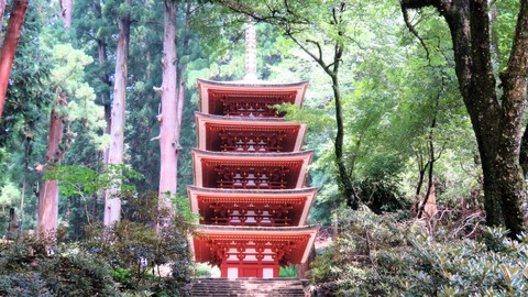 17�����������޽���