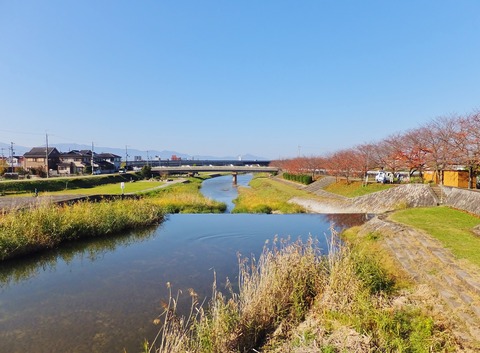 11���ϰ�ж����������ή�������廳