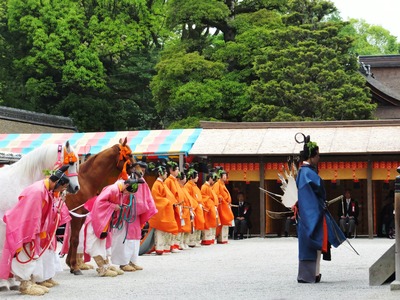 ���ϡʤҤ����ޡ�Ƿ��