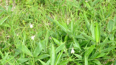 20���򤤥����ޥ�