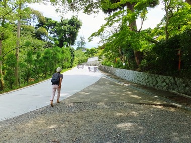 5�����������ؤκ�ƻ