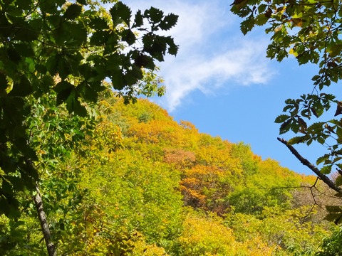 4�����Ť�Ȭ�ҥ���