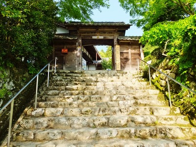 ��������˷��΢�����