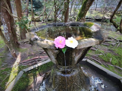 ˡ�������ȭ�����ؤ���